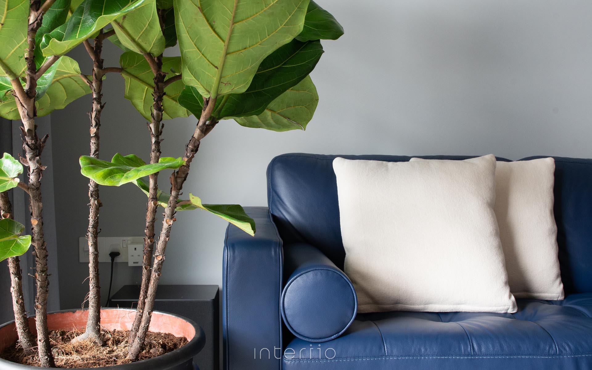 Condo — Treasure Crest | 2019